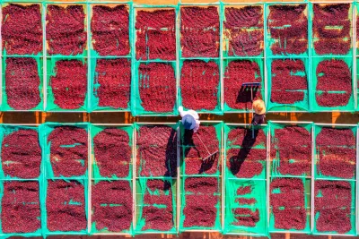 Är ghd Gold bättre än billigare plattångar?